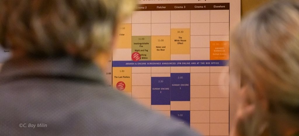 Two patrons peruse the film schedule